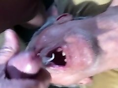 old trailer park cocksucker licking my balls with facial