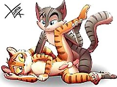 Cute kittens have sex Rocky & Freckle Cute kittens have sex Rocky & Freckle