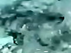 Amazing pornhub live! Who is this??? Amazing pornhub live! Who is this???