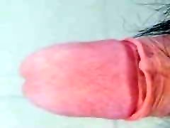 Small fat hairy asian cock being wanked and cumming