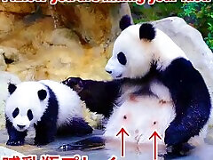 黒人ãƒãƒ³åダンスã€Black dick American&Nipple Japanese&hentai Pandaï¼dick dance】 黒人ãƒãƒ³åダンスã€Black dick American&Nipple Japanese&hentai Pandaï¼dick dance】