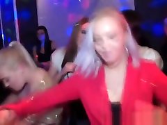 Party girls giving lily cade cock handjobs