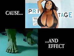 GIF Cause and Effect GIF Cause and Effect