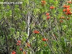 Big dick latin hunk playa nudists follando gay anal sex-LECHELATINO.COM Big dick latin hunk playa nudists follando gay anal sex-LECHELATINO.COM