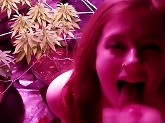 KINKY 420 BABE LOVES unwanted mother and daughter AND SUCKS DICK IN THE GROW ROOM