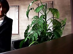 толстые гости только офис секретарь а