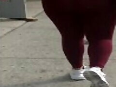 Big booty latina Big booty latina