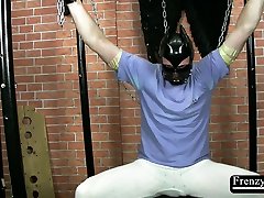 frenzybdsm мягкий жесткий член пытки сессии