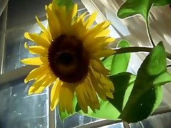Excellent teen love bbc creampie clip Retro incredible , check it