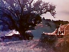 Classic: Nurses of the 407 1982 Full movie Classic: Nurses of the 407 1982 Full movie
