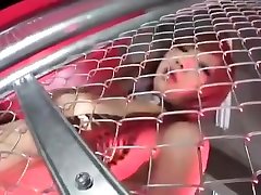 blowjob in the wire netting