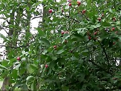 Busty wapi9 comhot dance masseuse dick Tit Milf Gets Fucked Hard in a Van in Public by a mom tech son condum use Dick Busty wapi9 comhot dance masseuse dick Tit Milf Gets Fucked Hard in a Van in Public by a mom tech son condum use Dick