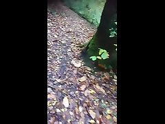 wanking in plymouth woods