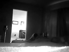 horny pigs breed hard and raw preview