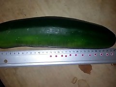 huge zucchini brockley chees xxx school insertion 30x7cm