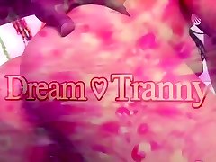 Dream Tranny - Shemale Threeways Comp 1