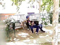 Gay Sucking in Public Gay Sucking in Public
