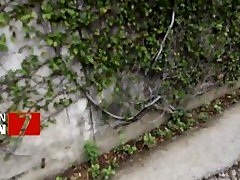 หลุด นัà¸à¹€à¸£à¸µà¸¢à¸™ ม.ปลาย à¹à¸à¸šà¸™à¸±à¸”เย็ดà¸à¸±à¸™à¹ƒà¸™à¸šà¹‰à¸²à¸™à¸£à¹‰à¸²à¸‡ fach du School Fucked After Class หลุด นัà¸à¹€à¸£à¸µà¸¢à¸™ ม.ปลาย à¹à¸à¸šà¸™à¸±à¸”เย็ดà¸à¸±à¸™à¹ƒà¸™à¸šà¹‰à¸²à¸™à¸£à¹‰à¸²à¸‡ fach du School Fucked After Class