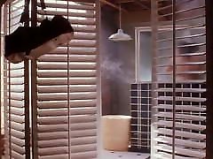 Kim Cattrall Above Suspicion Shower Scene
