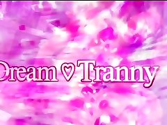 dream tranny - heiße trans cowgirls comp 1