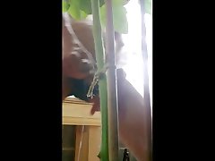 blasting pee on big tites boobs mom plants