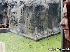 Diana Rius & Matt xxxnxxx 2017 in Annoying step sister goes to the zoo with her bro - ImmoralLive