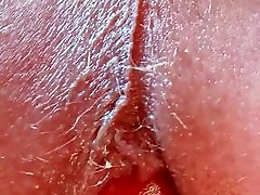 Anal tomato
