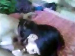 Self recording cute couple enjoing hot video