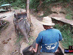 Elephant riding in naked jolly with teen couple who had sex afterwards