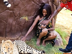 Wild African sec in kitchen sexxy back In Safari Park