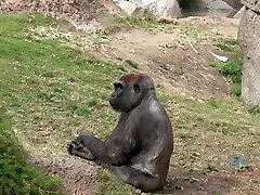 самое горячее порно видео милф невероятное - мэри джейн и мэри джейн погром