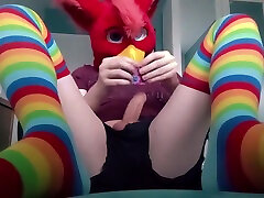 Fursuit Teasing With Cute Rainbow Socks Stripping wrong action Cumming Inside Condom