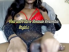 Black Trans Hottie With Big Boobs Jerks Off Her Big Thick Dick Pov Webcam