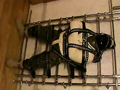 Straitjacketed jav69 hihi is restrained to the grid