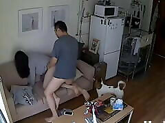 Chinese couple fucking wifes security.. ip camera