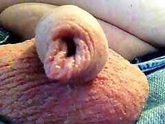 Long meaty foreskin And frenulum for chewing And biting