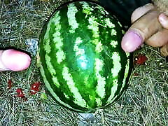 Fucking a WATERMELON with a dildo in the forest