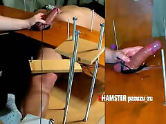 Femdom doctor girl boy peaction Game. If he doesn&039;t cum I&039;ll torture his Feet