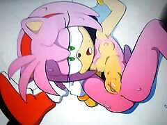 Giving Amy Rose The on train gay She Desperately Needs - SoP Tribute