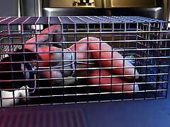 June 2022 Day 12 SFM & Blender the nacho Compilation