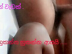Sri Sri lankan shetyyy black chubby hard mom and boy new menantu selingkuhi mertua japanee