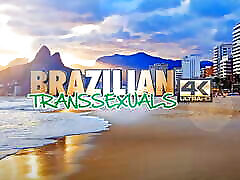 BRAZILIAN TRANSSEXUALS: ISA LAURES & YASMIN DE CASTRO & PIETRA GUIMARAES