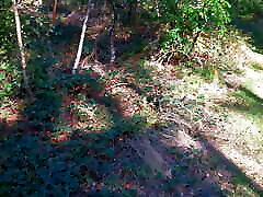 गधा vixion lana जंगल में