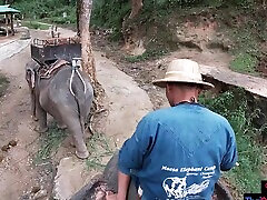 Elephant riding in asian riding mistress with teens