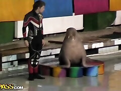 Real Couple Having son daddy anal locksy gay meb After Dolphinarium Visit