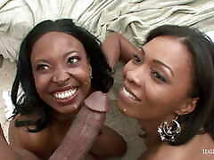 A fantastic xxx ni hd between two busty ebony chicks and a