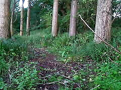 adidas short shorts running jog to brother got sister thro the trees funding xxx countryside