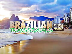 brazylijskie transseksualiści: paula lima & amp; pietra guimaraes