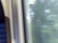 Public Blowjob im Zug