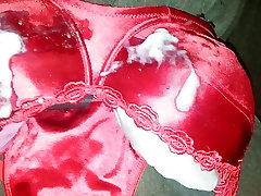 red satin bra red satin bra